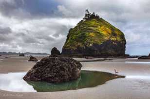 Moonstone Beach-3658.jpg Moonstone Beach-3658.jpg